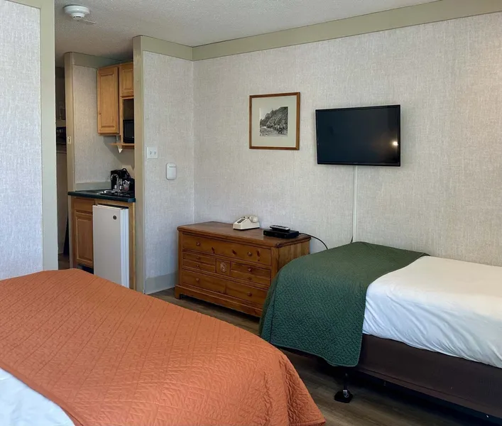 Mountainside Inn 117 1 Bedroom Hotel Room by Alpine Lodging Telluride hotel detail image 2