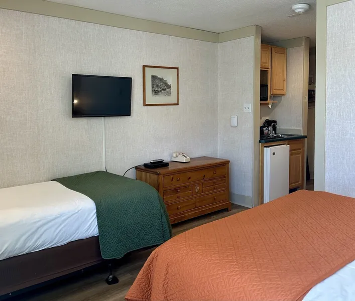 Mountainside Inn 115 1 Bedroom Hotel Room by Alpine Lodging Telluride hotel detail image 2