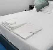 Plush Hotel hotel detail image 4