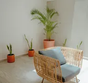 Hotel Macondo Quinta Avenida by Ruha hotel detail image 3