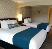 The Hotel Y, a Dazzler Select by Wyndham hotel detail image 5