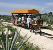 Cenotes Resort at Hacienda Sotuta de Peón hotel detail image 3