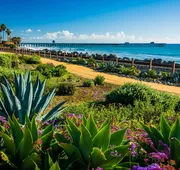San Clemente Surf Inn hotel detail image 7
