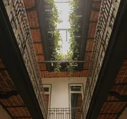 Maximo Mexico Roma hotel detail image 4