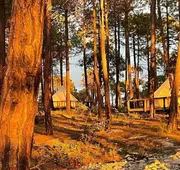 La Reserva Glamping hotel detail image 4