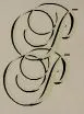 Park Plaza Lodge Hotel hotel logo