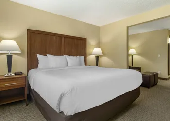 Comfort Inn & Suites Bothell - Seattle North hotel thumbnail 8