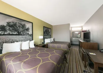 Super 8 by Wyndham Colorado City hotel thumbnail 8