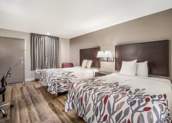 Red Roof Inn Sumter hotel thumbnail 7