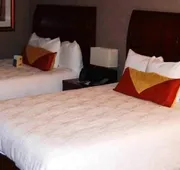Hilton Garden Inn Indianapolis South/Greenwood hotel detail image 7