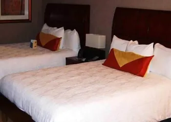 Hilton Garden Inn Indianapolis South/Greenwood hotel thumbnail 7