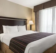 University Hotel - Davis Area by IHG hotel detail image 4
