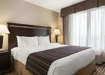 University Hotel - Davis Area by IHG hotel thumbnail 4