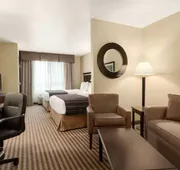 University Hotel - Davis Area by IHG hotel detail image 5