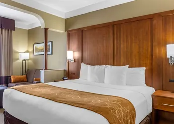 Comfort Suites Plainview hotel thumbnail 8