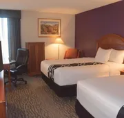 La Quinta Inn by Wyndham Binghamton - Johnson City hotel detail image 4
