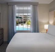 Holiday Inn Resort Orlando Suites - Waterpark by IHG hotel detail image 5