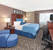 Wyndham Garden Elk Grove Village/O'Hare hotel detail image 3