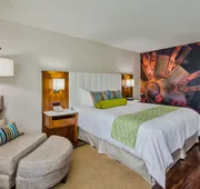 Hotel Indigo Anaheim by IHG hotel detail image 4