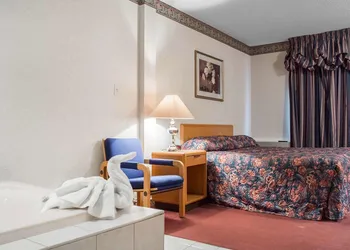 Econo Lodge By The Falls hotel thumbnail 4