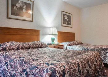 Econo Lodge By The Falls hotel thumbnail 7