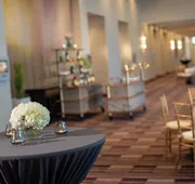 Renaissance Dallas Richardson Hotel hotel detail image 3