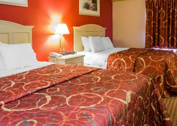 Econo Lodge Inn & Suites Walnut hotel thumbnail 8
