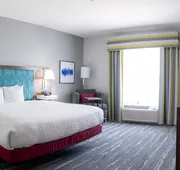 Hampton Inn & Suites Dallas/Lewisville-Vista Ridge Mall, TX hotel detail image 4