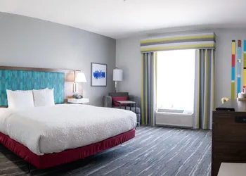 Hampton Inn & Suites Dallas/Lewisville-Vista Ridge Mall, TX hotel thumbnail 4