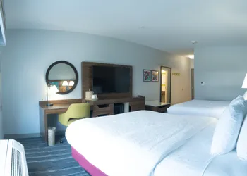 Hampton Inn & Suites Dallas/Lewisville-Vista Ridge Mall, TX hotel thumbnail 5