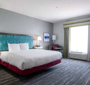 Hampton Inn & Suites Dallas/Lewisville-Vista Ridge Mall, TX hotel detail image 7