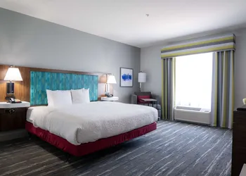 Hampton Inn & Suites Dallas/Lewisville-Vista Ridge Mall, TX hotel thumbnail 7