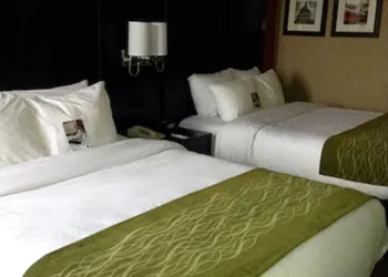 Comfort Inn & Suites Evansville Airport hotel thumbnail 8