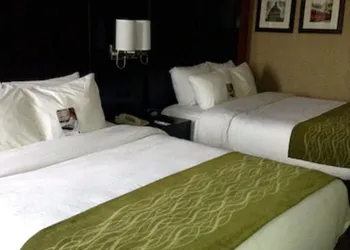 Comfort Inn & Suites Evansville Airport hotel thumbnail 8