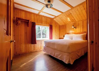 Pine Bungalows hotel thumbnail 6