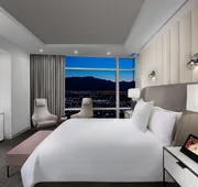 ARIA Resort & Casino hotel detail image 7