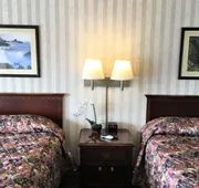 Emerald Dolphin Inn & Mini Golf hotel detail image 5