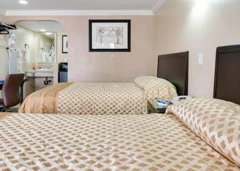 Sky Palm Motel hotel thumbnail 7