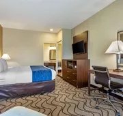 Comfort Inn & Suites Orange County John Wayne Airport hotel detail image 7