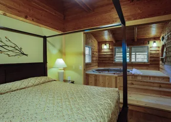 Forrest Hills Mountain Resort hotel thumbnail 2
