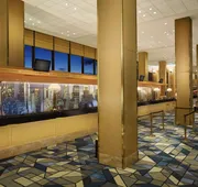 Hilton Chicago O'Hare Airport hotel detail image 3