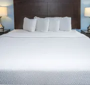 Commander Beach House Hotel hotel detail image 5