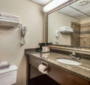 Quality Inn & Suites Newberry hotel detail image 7