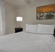 TownePlace Suites by Marriott Republic Airport Long Island hotel detail image 7