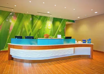 Springhill Suites by Marriott Pittsburgh Mt. Lebanon hotel thumbnail 8