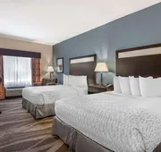 Best Western Plus Lake Jackson Inn & Suites hotel detail image 4