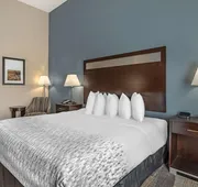 Best Western Plus Lake Jackson Inn & Suites hotel detail image 7