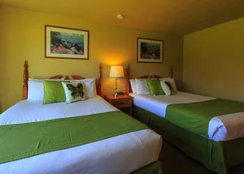 Der Ritterhof Inn hotel thumbnail 7