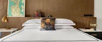 Hotel thumbnail 4