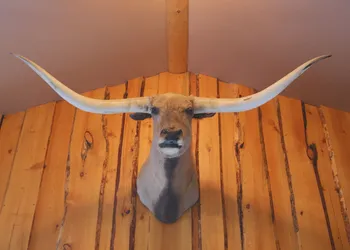 The Longhorn Ranch Lodge and RV Resort hotel thumbnail 2
